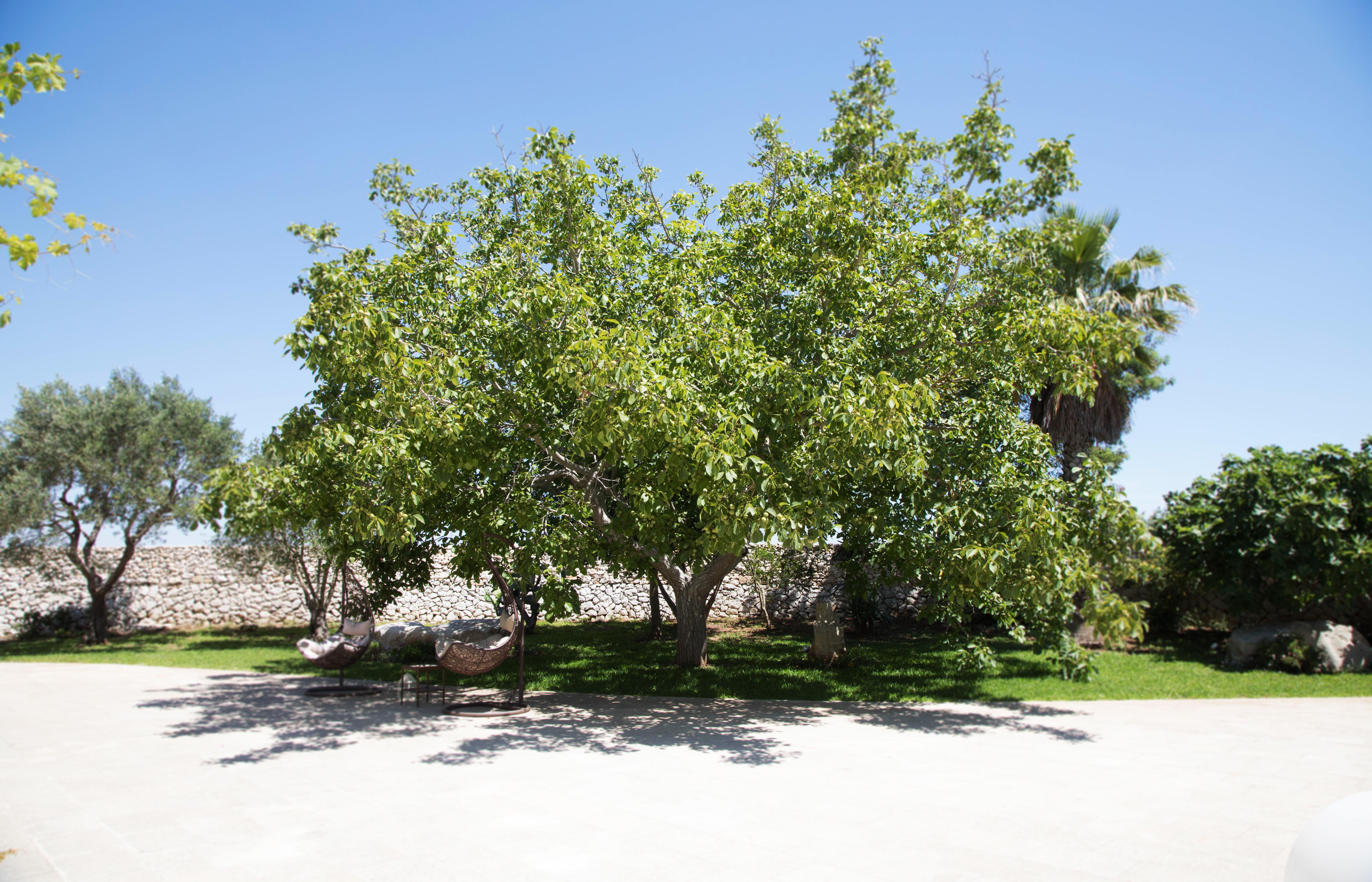 Don Agostino Relais Masseria Martano Extérieur photo